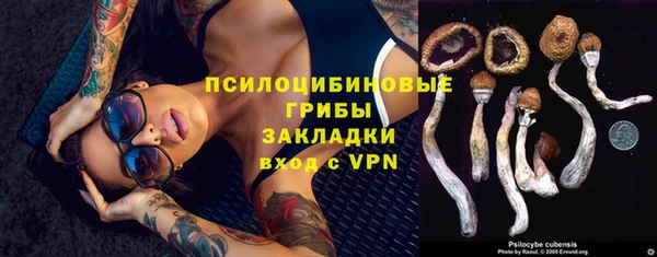 эйфоретик Кинешма