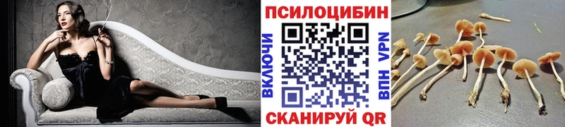 Купить закладки  Усолье  Галлюциногенные грибы Cubensis 